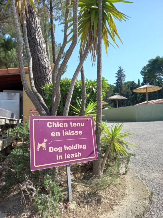 camping nature et famille - animaux acceptés, Argelès-sur-Mer, Domaine des Mimosas