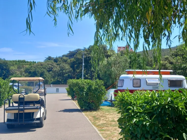 Camping avec emplacement tente, camping car, van., Argelès-sur-Mer, Domaine des Mimosas