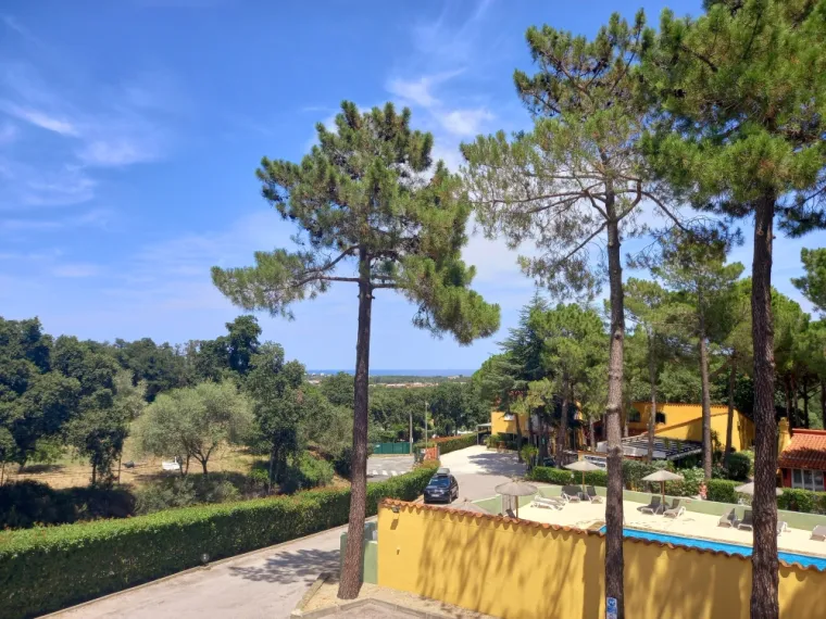 camping familiale mer et montagne argelès-sur-mer, Argelès-sur-Mer, Domaine des Mimosas