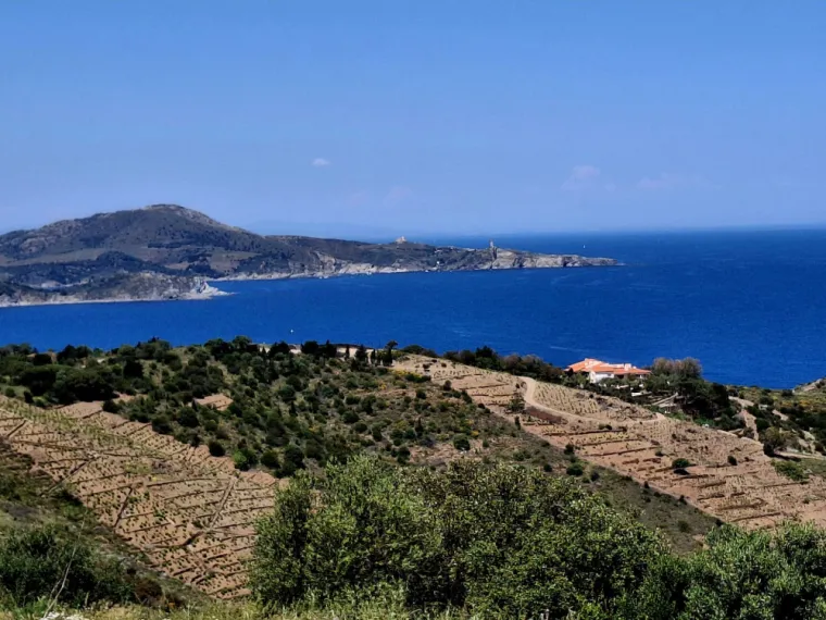 CAMPING ENTRE MER ET MONTAGNE, Argelès-sur-Mer, Domaine des Mimosas
