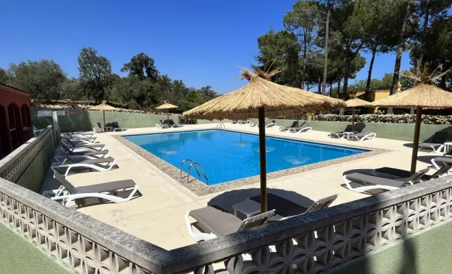 La Piscine au calme avec ses Parasols, Argelès-sur-Mer, Domaine des Mimosas