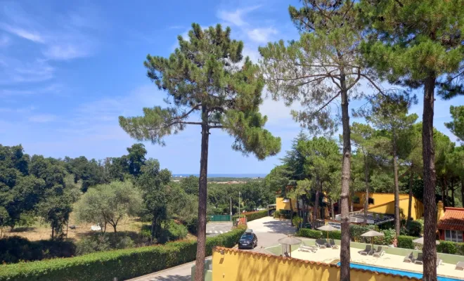 camping familiale mer et montagne argelès-sur-mer, Argelès-sur-Mer, Domaine des Mimosas