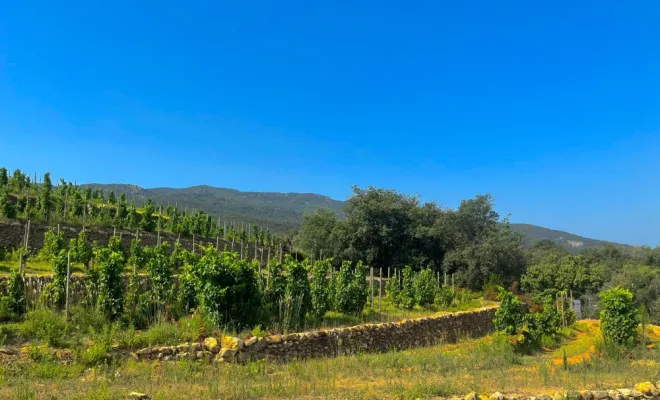 Camping detente et nature, Argelès-sur-Mer, Domaine des Mimosas