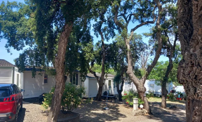 LOCATION DE MOBIL-HOME DANS CAMPING NATURE AVEC PISCINE ET RESTAURANT., Argelès-sur-Mer, Domaine des Mimosas