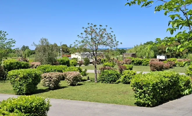CAMPING CALME, NATURE ET FAMILIAL AVEC EMPLACEMENT CAMPING CAR ,VAN ET TENTE., Argelès-sur-Mer, Domaine des Mimosas
