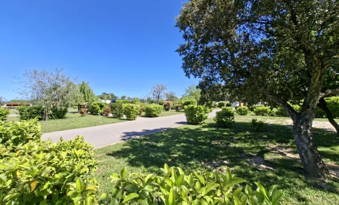 EMPLACEMENT DE CAMPING , VILLAS, APPARTEMENTS ET MOBIL HOME, Argelès-sur-Mer, Domaine des Mimosas