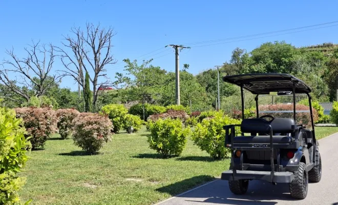CAMPING CALME, NATURE ET FAMILIAL AVEC EMPLACEMENT CAMPING CAR ,VAN ET TENTE., Argelès-sur-Mer, Domaine des Mimosas