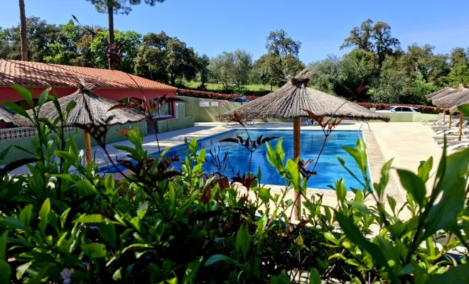 CAMPING AVEC PISCINE ET BAR RESTAURANT, Argelès-sur-Mer, Domaine des Mimosas