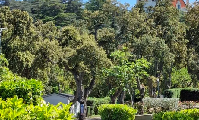 ACCUEIL DE GROUPE, ASSOCIATION ET EVENEMENTS FAMILIAUX., Argelès-sur-Mer, Domaine des Mimosas