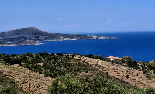 EMPLACEMENT TOUTES TAILLES AU CAMPING DES MIMOSAS., Argelès-sur-Mer, Domaine des Mimosas