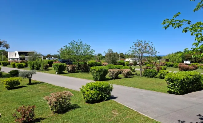 EMPLACEMENT TOUTES TAILLES AU CAMPING DES MIMOSAS., Argelès-sur-Mer, Domaine des Mimosas