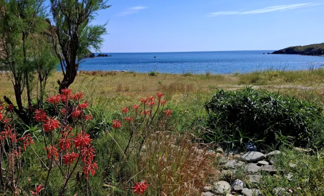 CAMPING FAMILLE ENTRE MER ET MONTAGNE, Argelès-sur-Mer, Domaine des Mimosas