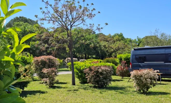 CAMPING FAMILLE ENTRE MER ET MONTAGNE, Argelès-sur-Mer, Domaine des Mimosas