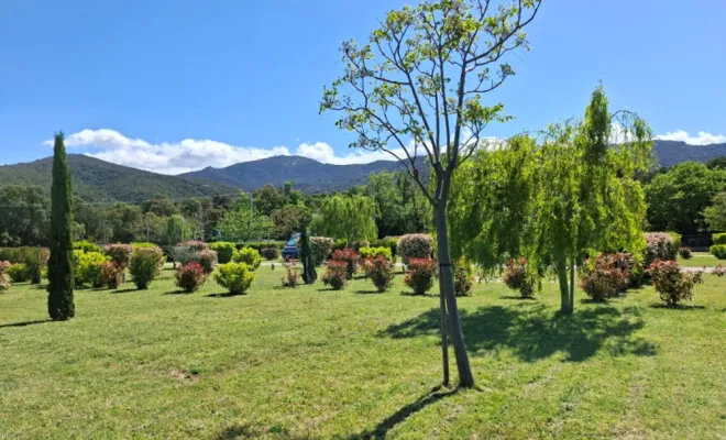 CAMPING FAMILLE ENTRE MER ET MONTAGNE, Argelès-sur-Mer, Domaine des Mimosas